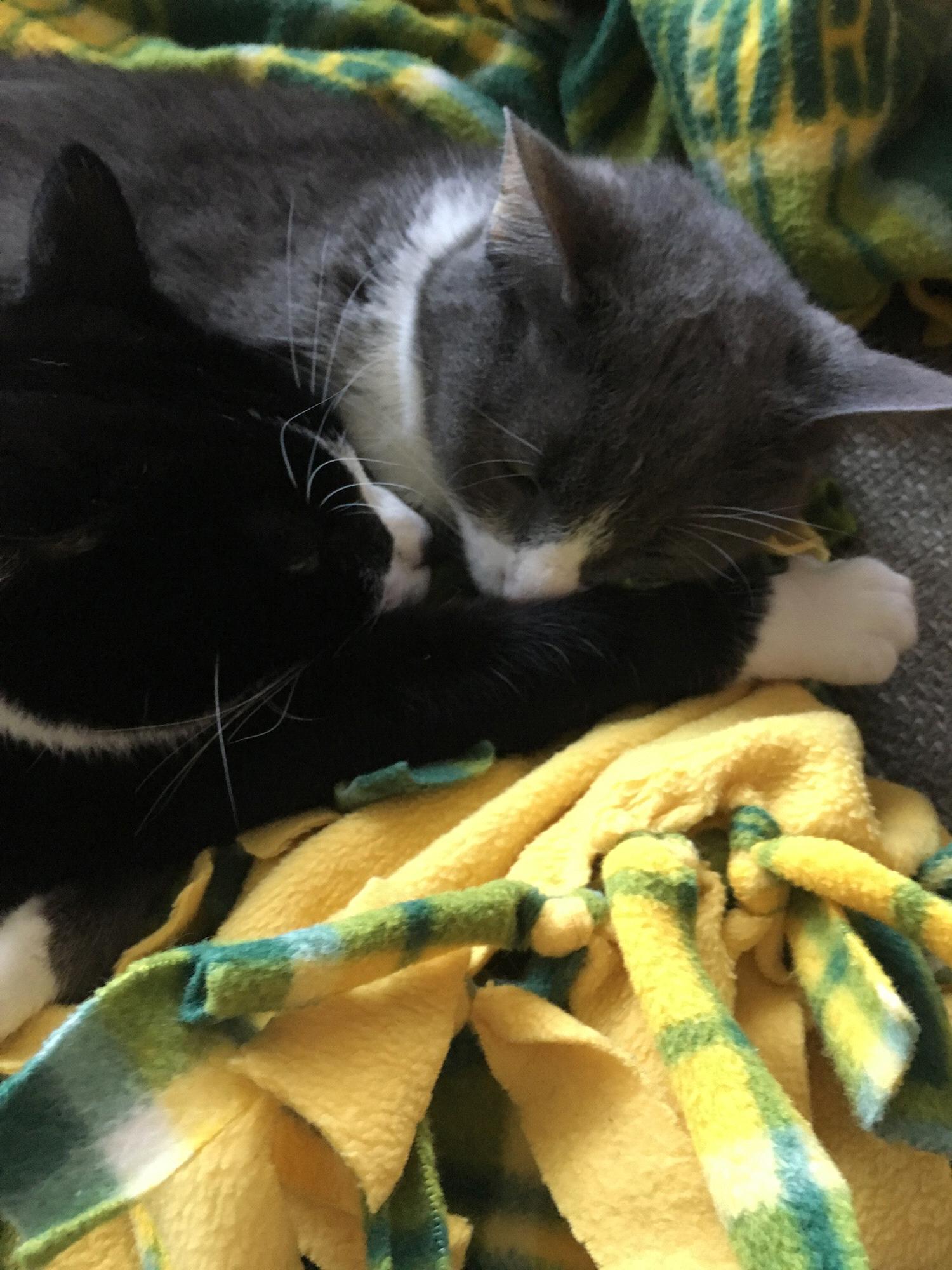 Snuggle time!