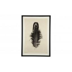Feather Print #3
