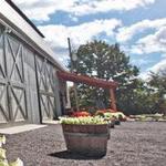 Seneca Lake Wine Trail