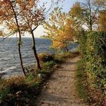 Lake Geneva Shore Path