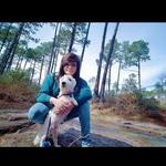 Longleaf Vista Nature Trail