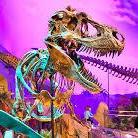 The Children's Museum of Indianapolis