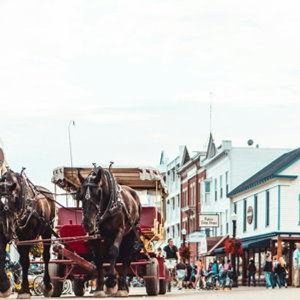 Honeymoon - Admission to all Mackinac State Historic Parks sites for 2