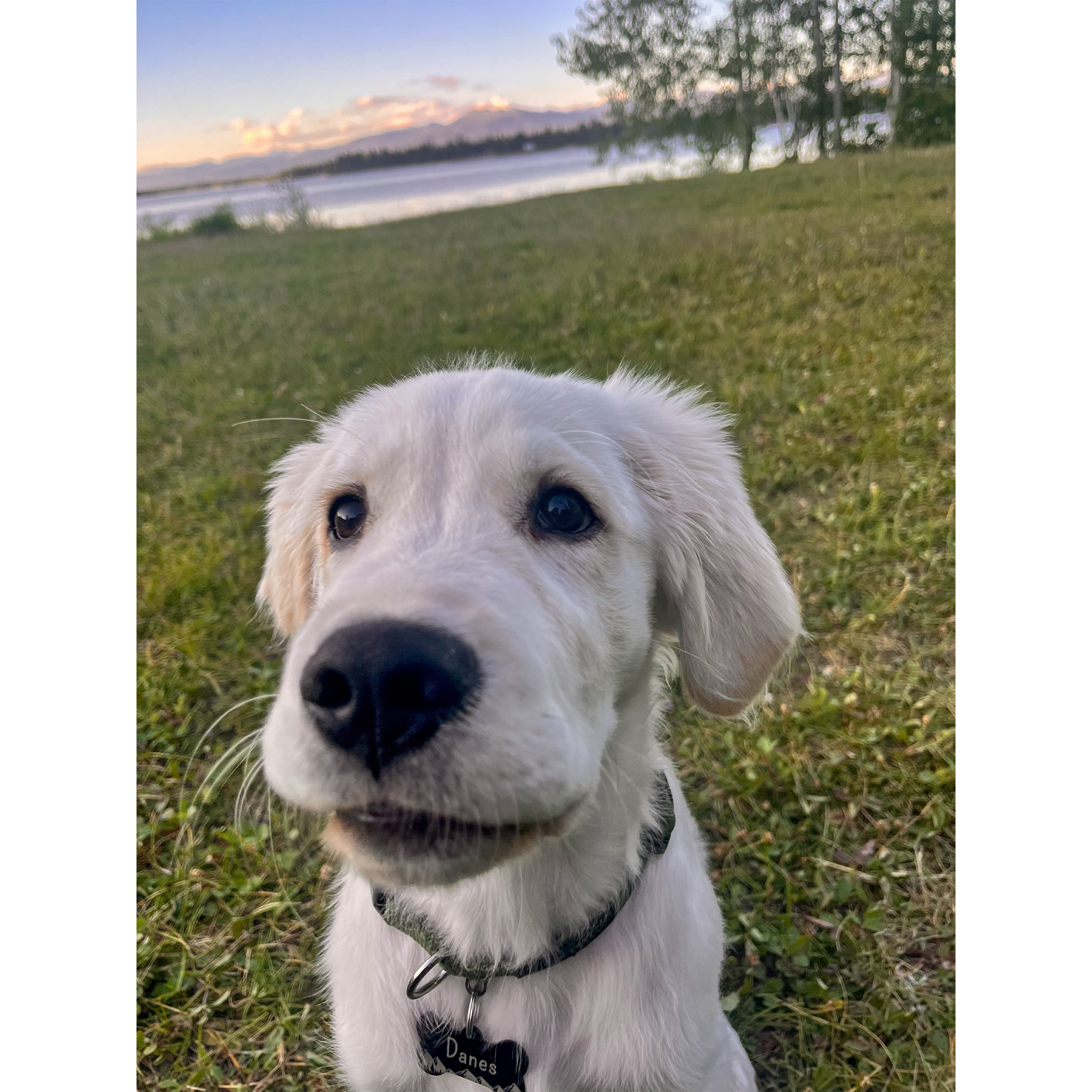 He's growing quick and just happy to be here 🤪