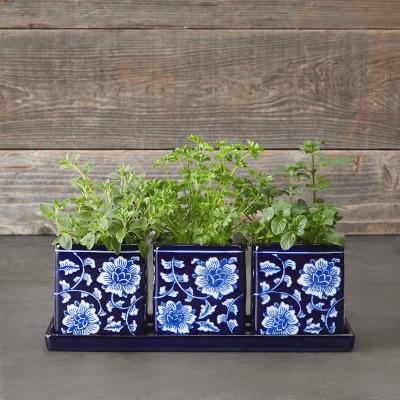 Blue & White Ceramic Herb Tray with Pots, Set of 3