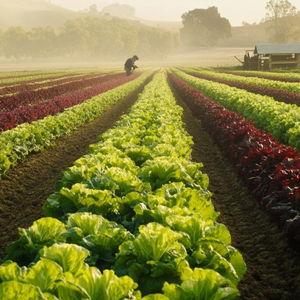 Future Farm Fund