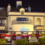 The IVY