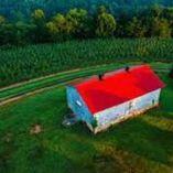 Mercier Orchards