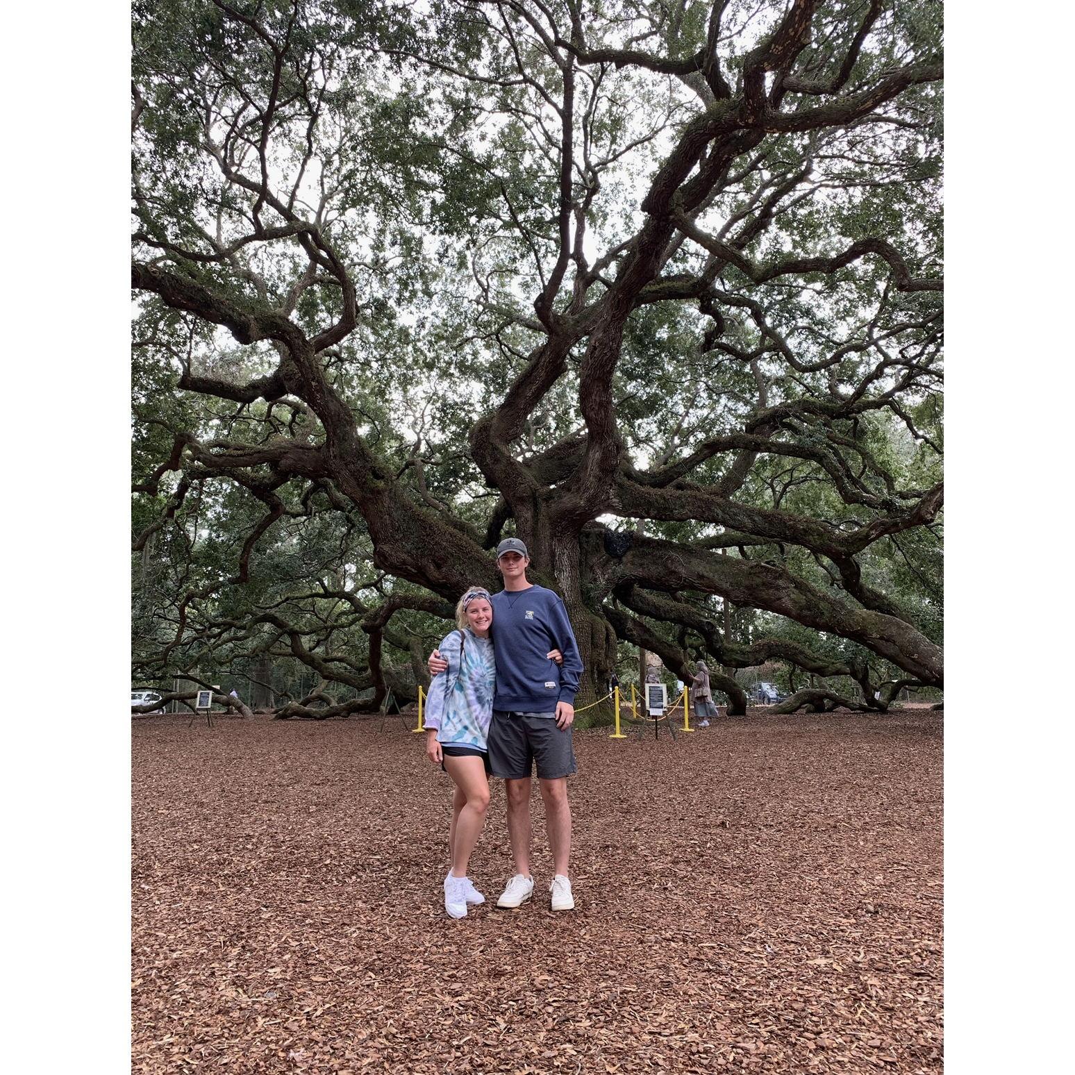 The Angel Oak Tree that's 15 minutes from Seabrook Island