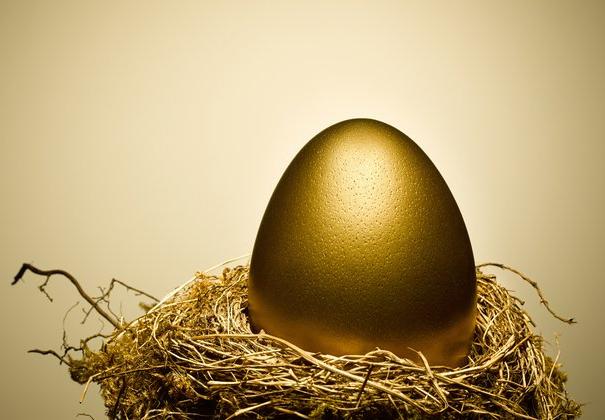 Nest Egg Fund