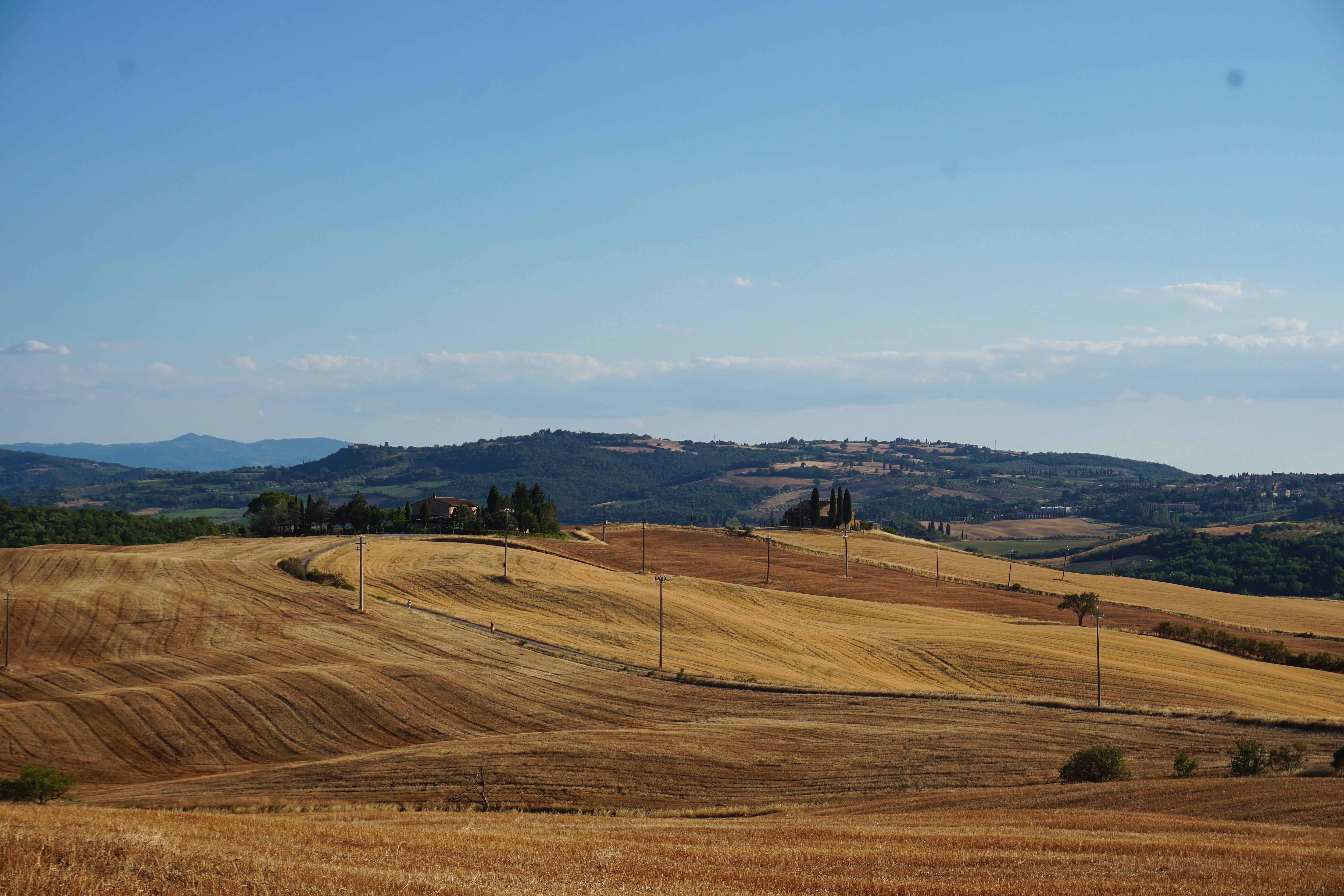 The Wedding Website of Amanda Mattei and David Desino