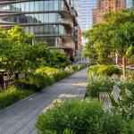 The High Line