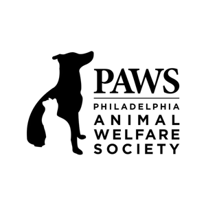 Philly PAWS