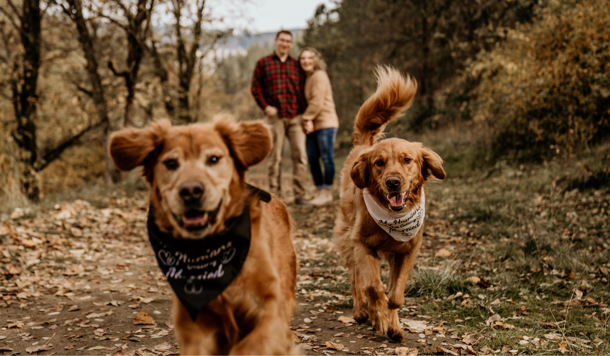 The Wedding Website of Alexa Brooks and Jordan Anderson