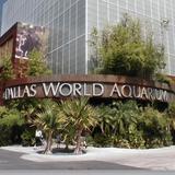 The Dallas World Aquarium