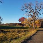 Rockefeller State Park Preserve