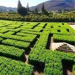 Underwood Family Farms