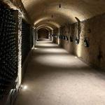 Bodegas Domeq