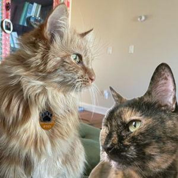 Katz Fund