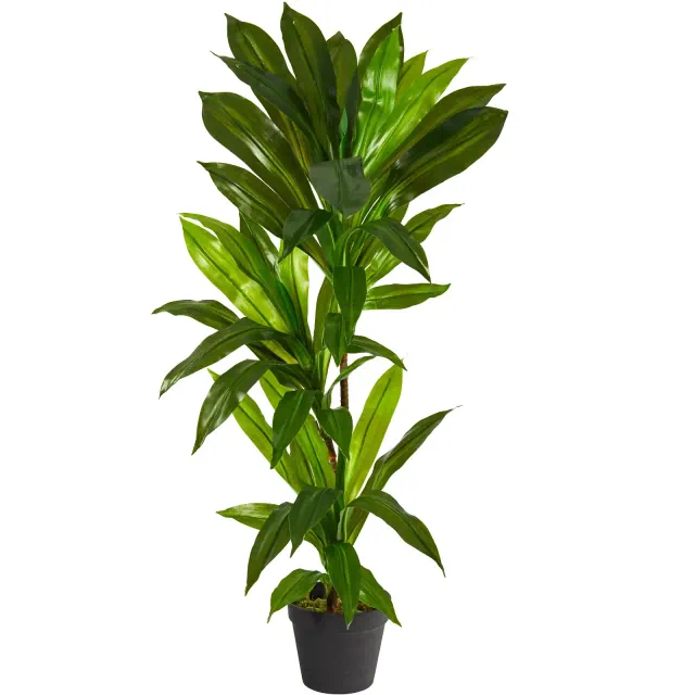 Nearly Natural 3-ft Dracaena Artificial Plant