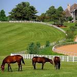 Horse Country - Farm Tours