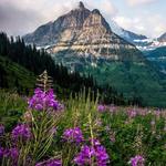 Glacier National Park
