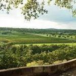 Driftwood Estate Winery