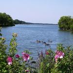 Peace Valley Park