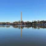 Tidal Basin