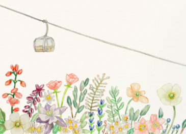 The Wedding Website of Emily Hartnett and Jordan Hickey