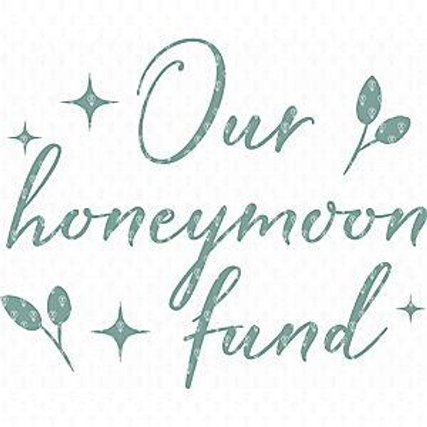 Our Honeymoon Fund