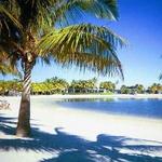 Matheson Hammock Park