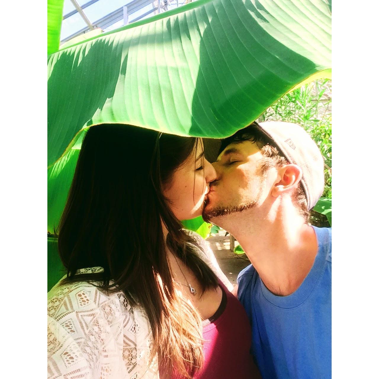 Fun Fact: Kaleigh and Chris snuck into the botanical garden after it closed and got caught, but the lady let them stay because it was Chris's birthday and then they took this picture.