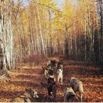 Snowhook Adventure Guides of Alaska