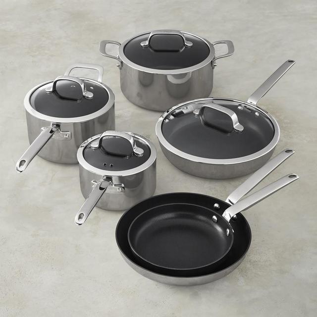 Williams Sonoma Professional Stainless-Steel Nonstick 10-Piece Cookware Set