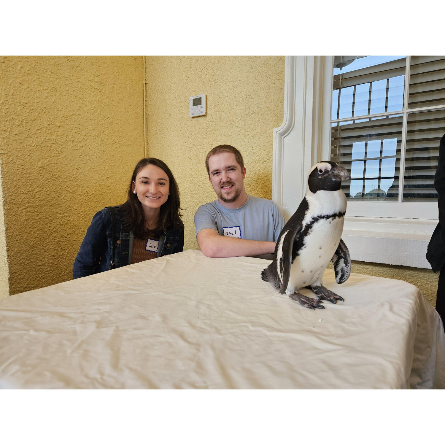 The night we became officially boyfriend and girlfriend, complete with a penguin encounter.