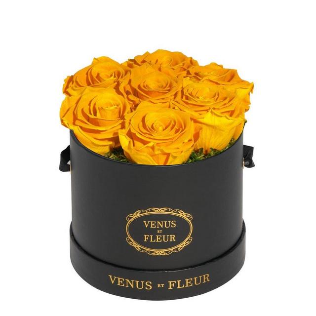 Venus et Fleur Le Petit Round