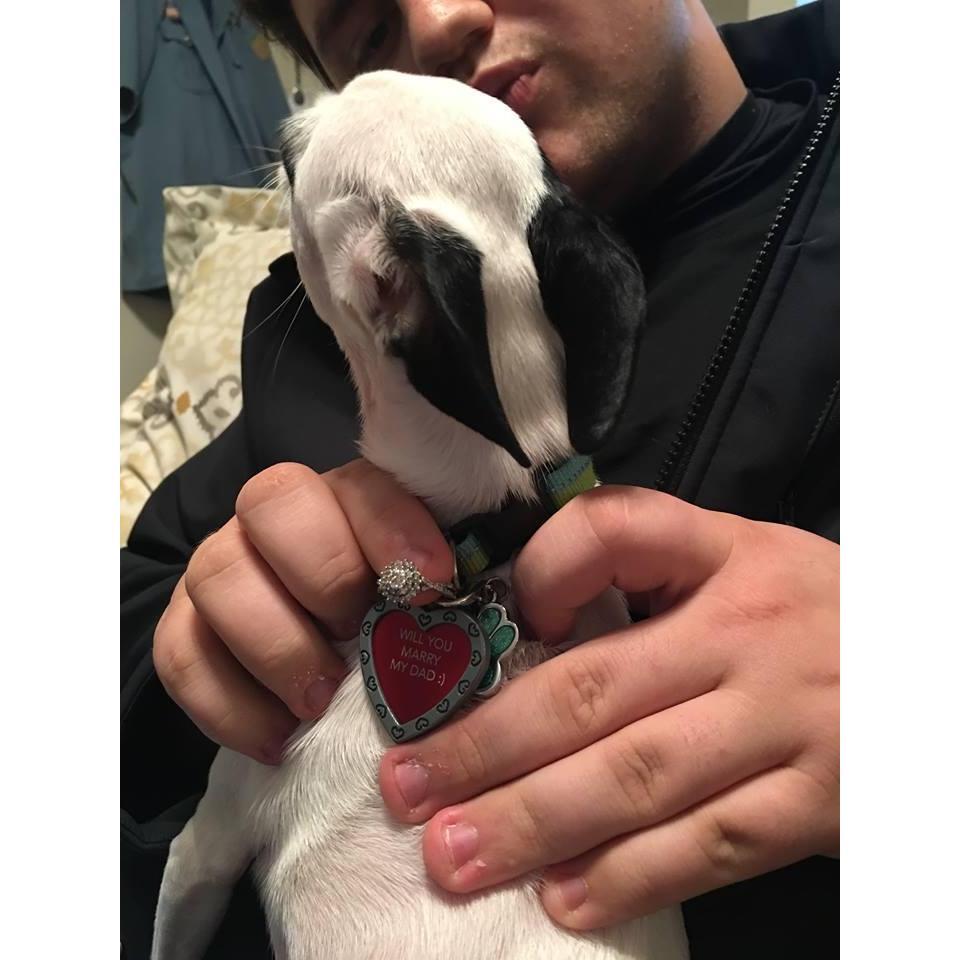 Trevor proposed 10-25-18