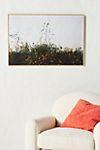 San Juan Bautista Poppies Wall Art