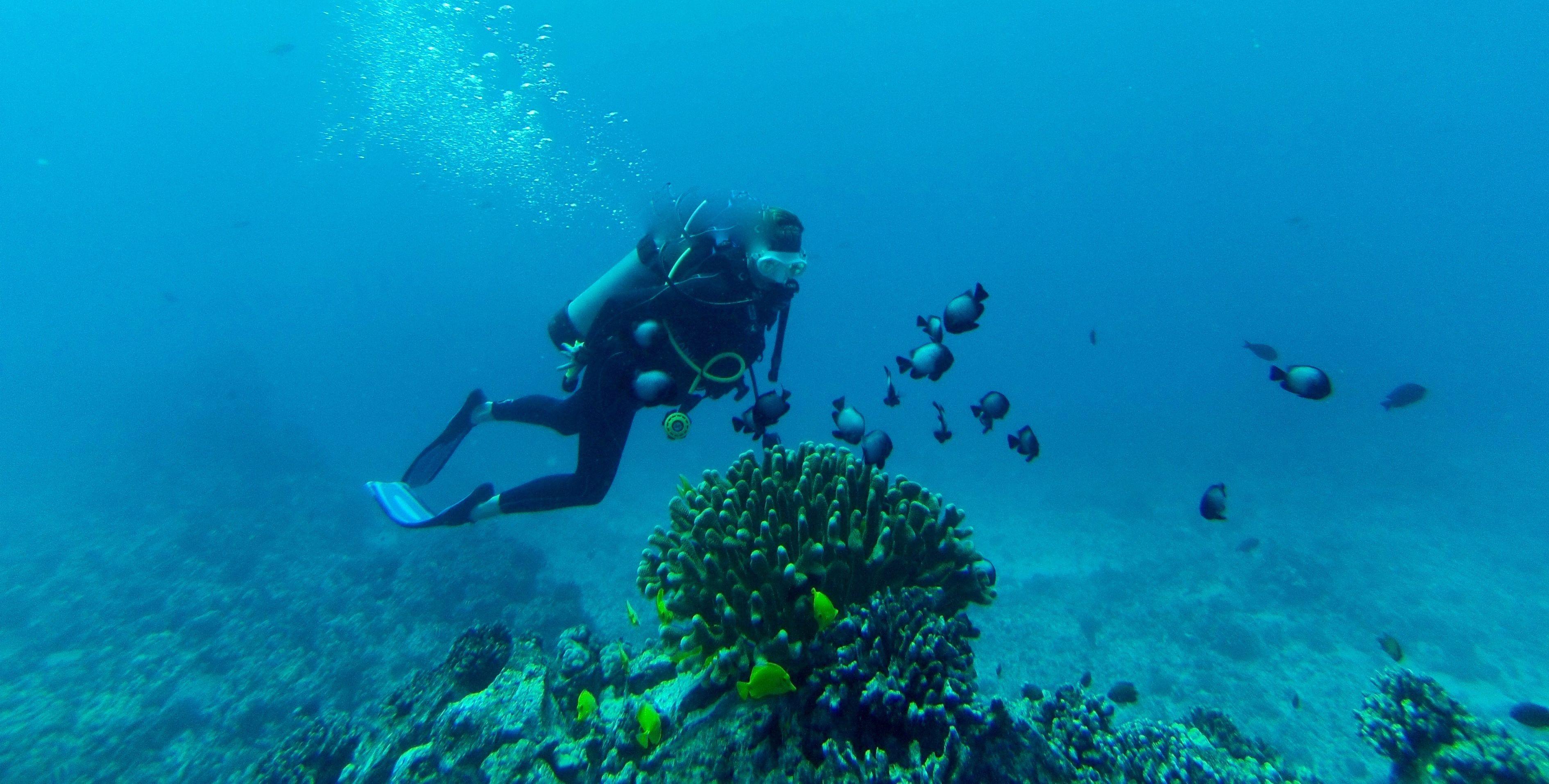 a5f843fb-1385-4d1d-966c-efa54a10931a