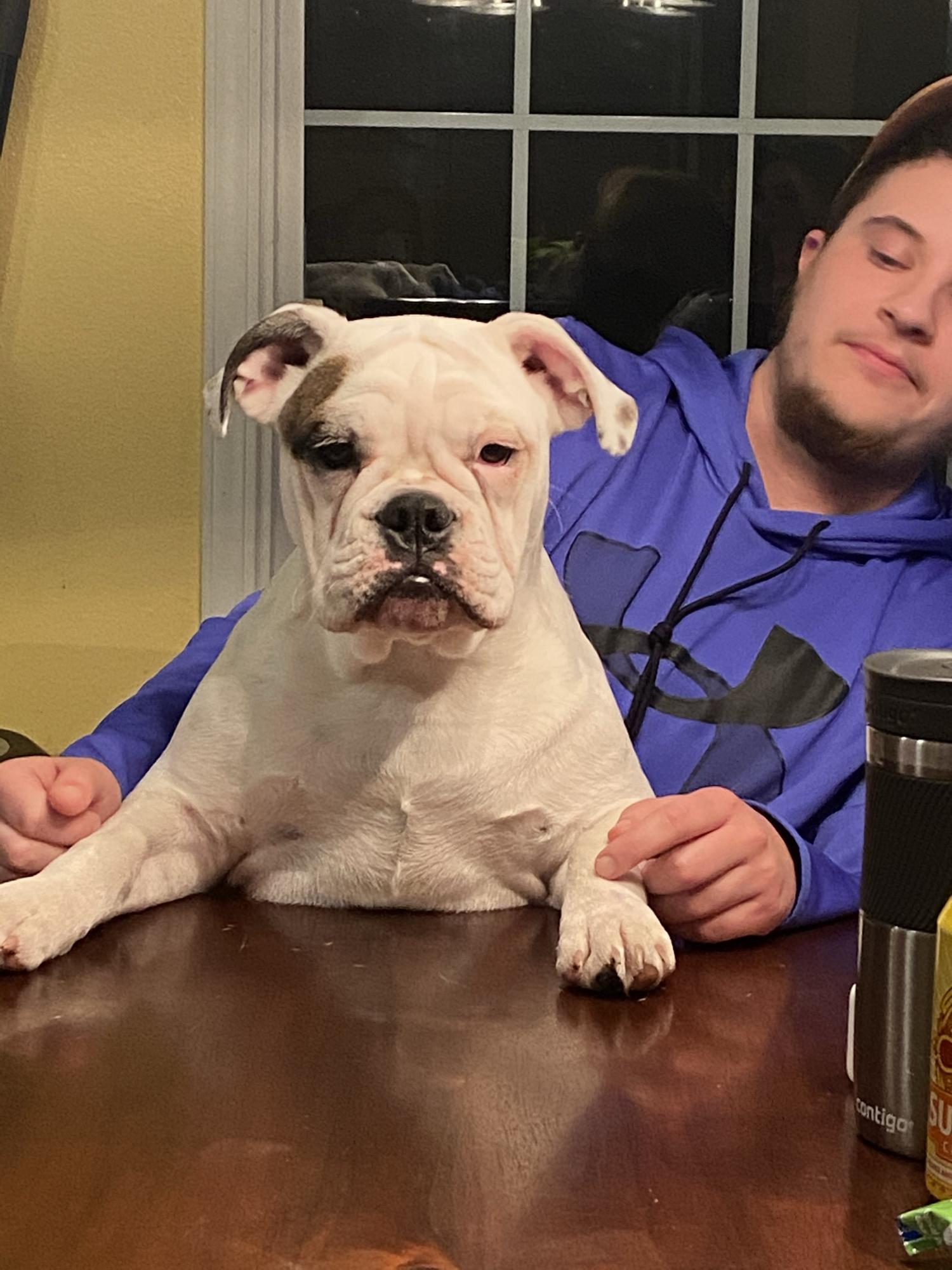The night Micah taught Phoebe to sit at the table