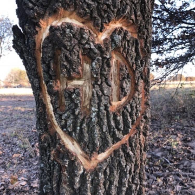 For our first Christmas Hunter carved this out of the tree & turned it into a picture frame