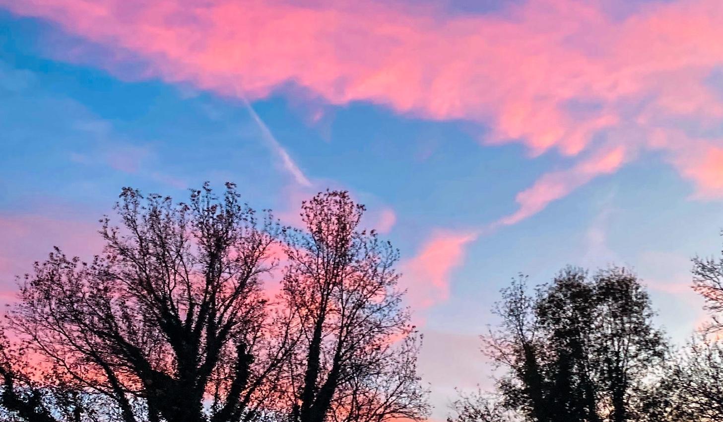 The Wedding Website of Mel Orton and Jessie Walter