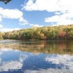 Rockefeller State Park Preserve