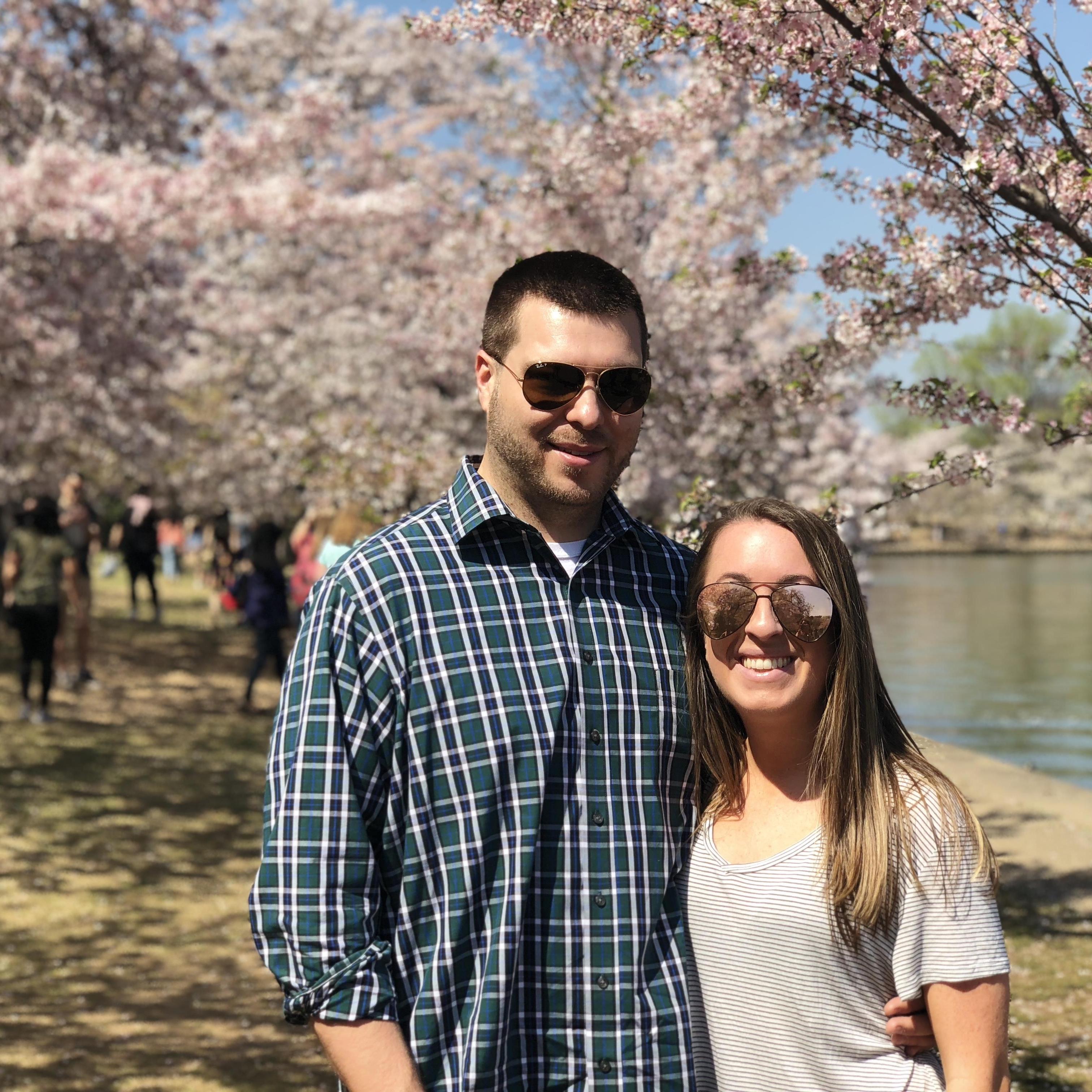 Cherry Blossoms 2018
