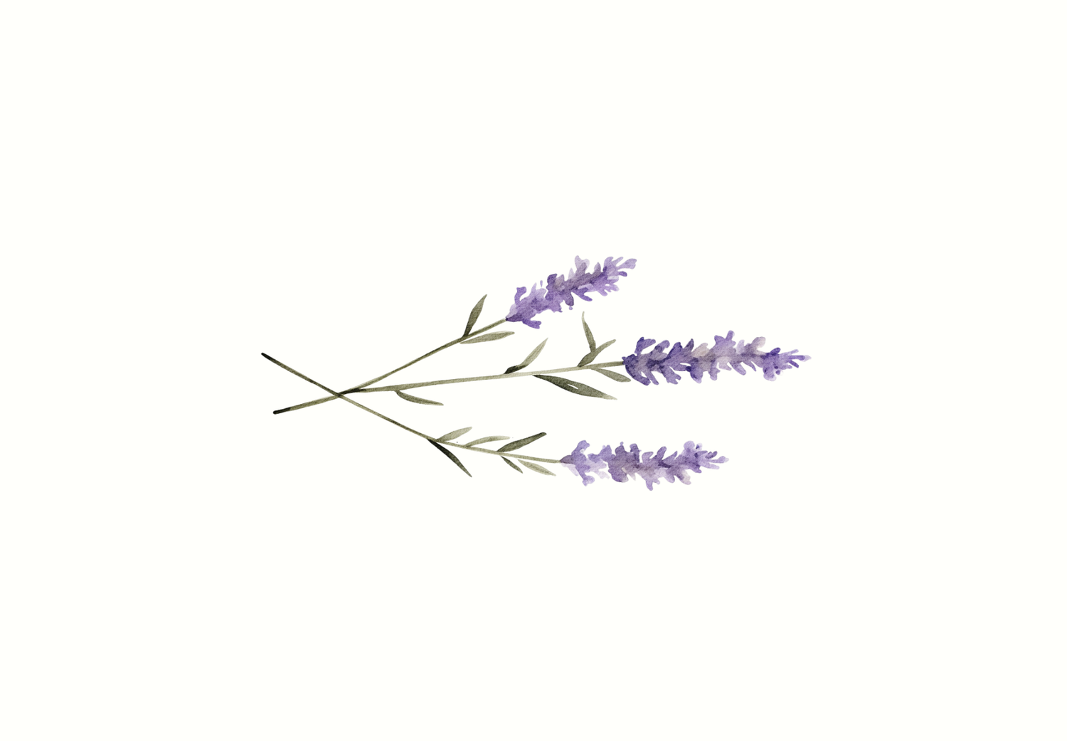The Wedding Website of Jane Ann Baggett and Javier Alberto Rodriguez