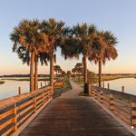 Pitt Street Bridge