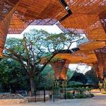 Jardín Botánico Medellín