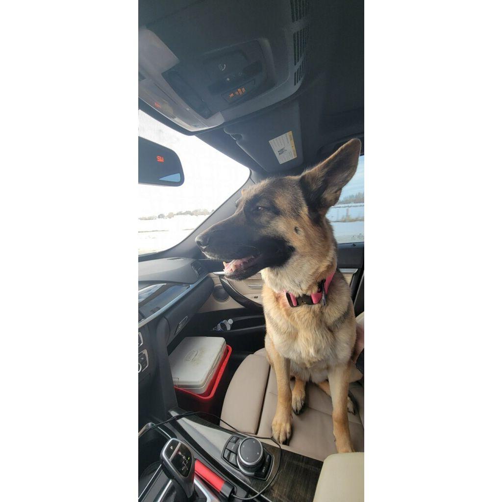 Leia's first picture as an Ulfich