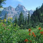 Grand Teton National Park- Moderate Hike- Cascade Canyon